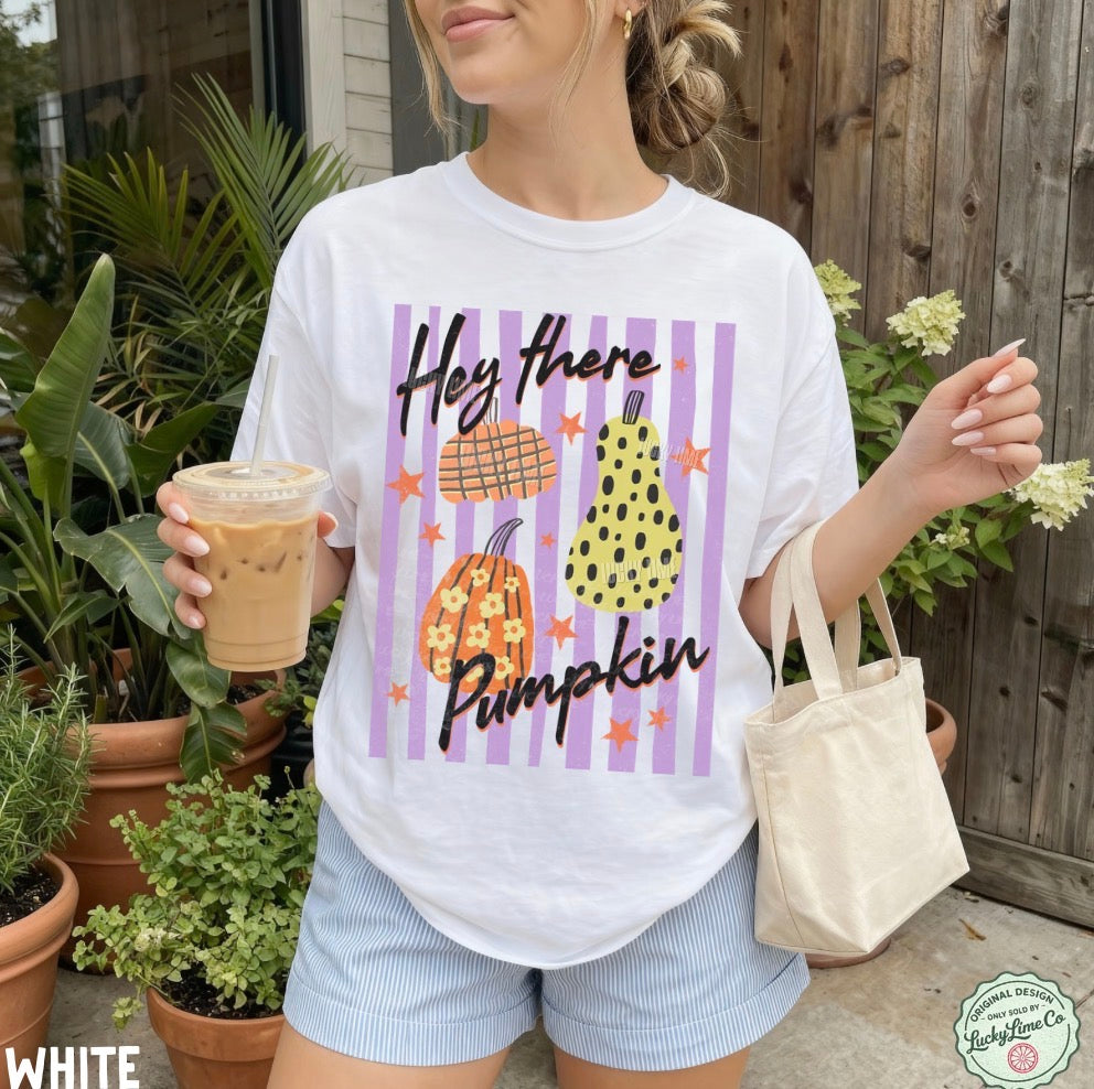 Hey There Pumpkin Comfort Colors® T-shirt