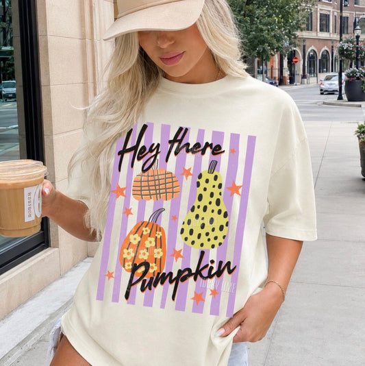 Hey There Pumpkin Comfort Colors® T-shirt