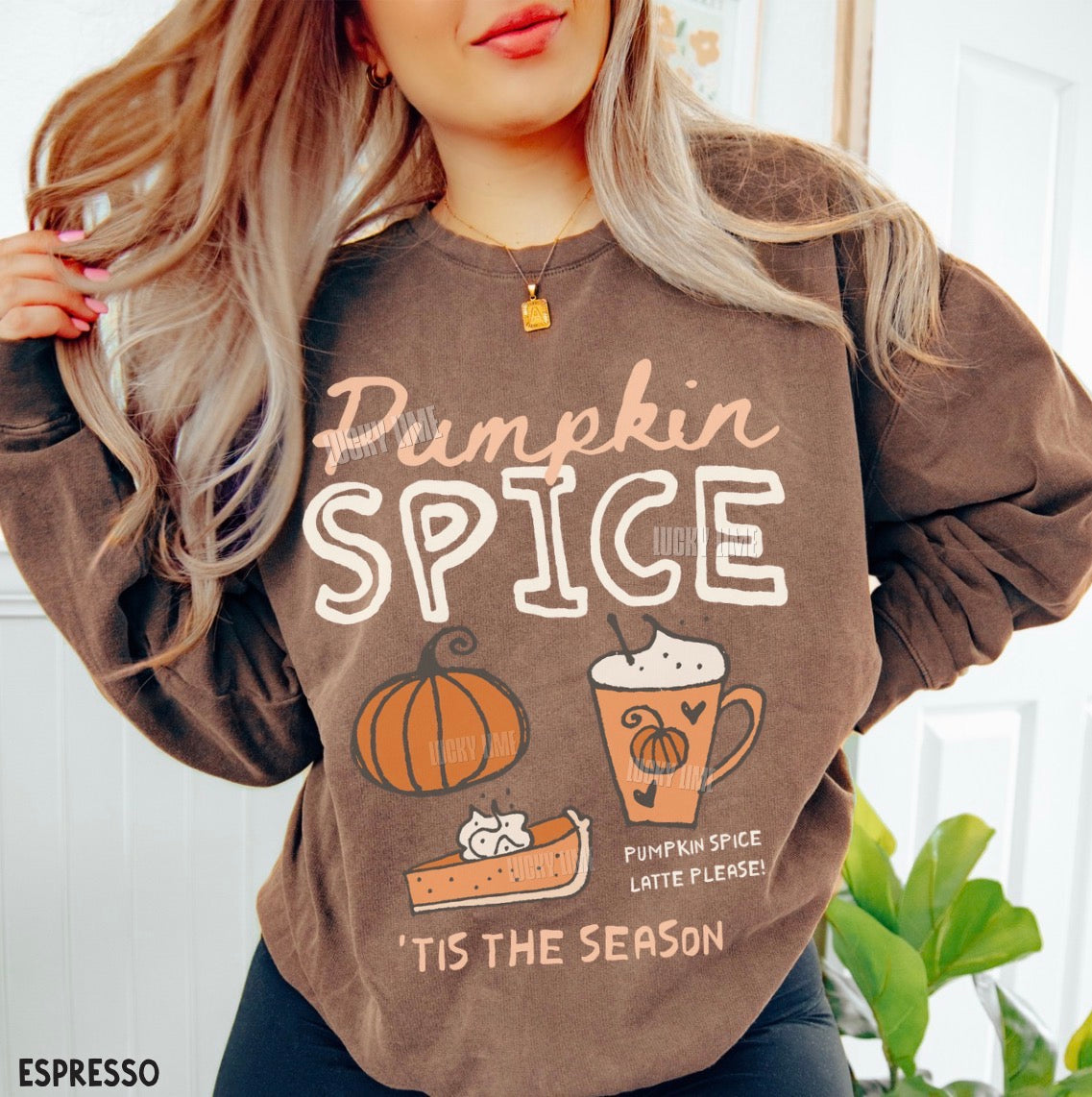 A woman wearing a brown long-sleeve sweatshirt with a 'Pumpkin Spice' graphic print featuring a pumpkin, pumpkin pie, and a hot chocolate cup. The sweatshirt has a fuzzy texture and is shown in a lifestyle setting with a white paneled door and a green plant in the background.