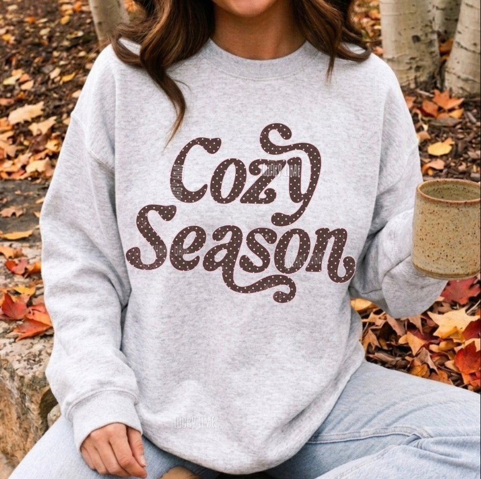 A person wearing a light heather gray sweatshirt with 'Cozy Season' printed in brown glitter-style lettering, seated outdoors on a stone with fallen autumn leaves and birch trees in the background.